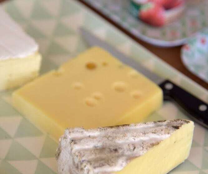 酒店 O Lyon Charite