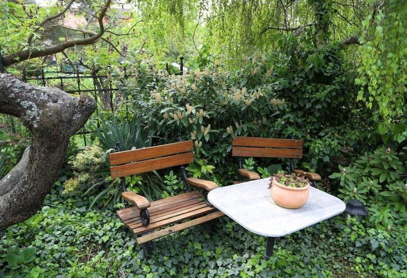 בית מלון כפרי Panorama Panzio