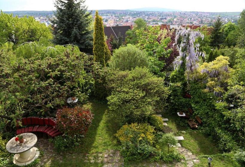 בית מלון כפרי Panorama Panzio