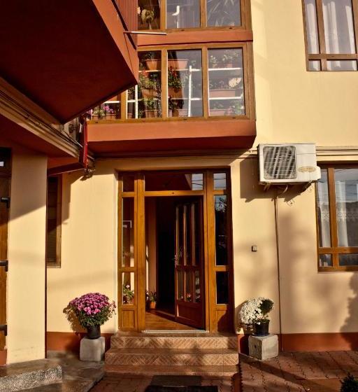 ホテル Pensiunea Vlad Home