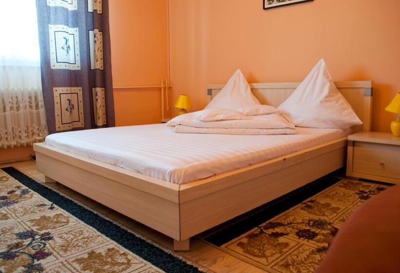 בית מלון כפרי Pensiunea Vlad