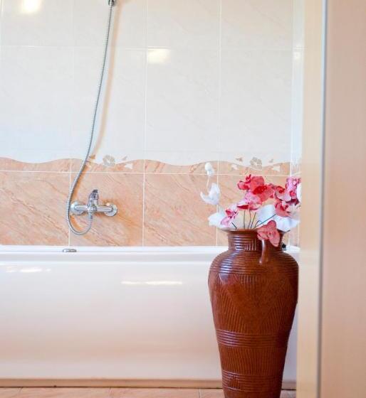 בית מלון כפרי Pensiunea Vlad