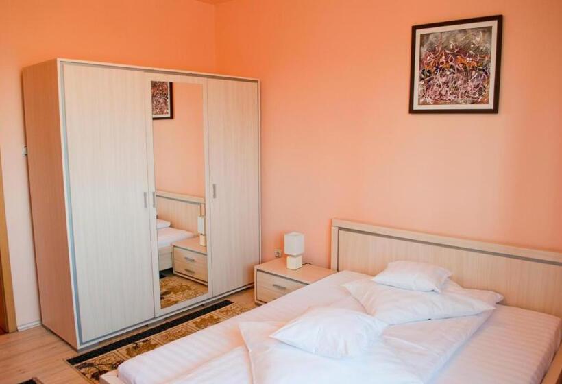 בית מלון כפרי Pensiunea Vlad