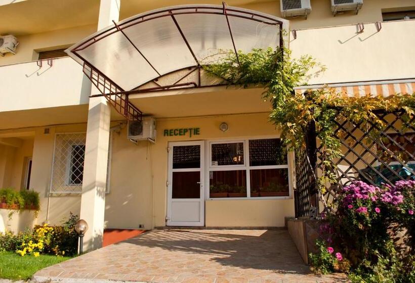 בית מלון כפרי Pensiunea Vlad