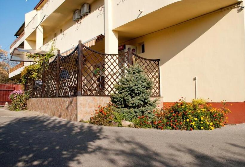 בית מלון כפרי Pensiunea Vlad