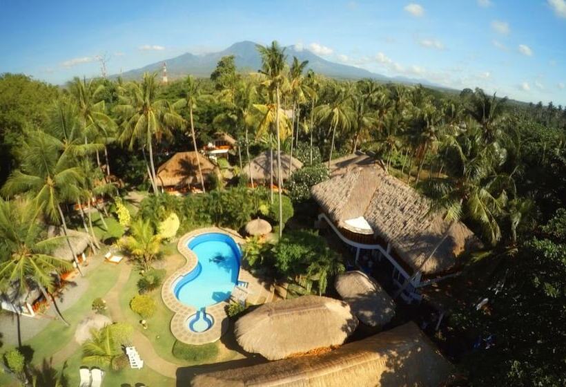 هتل Pura Vida Beach & Dive Resort