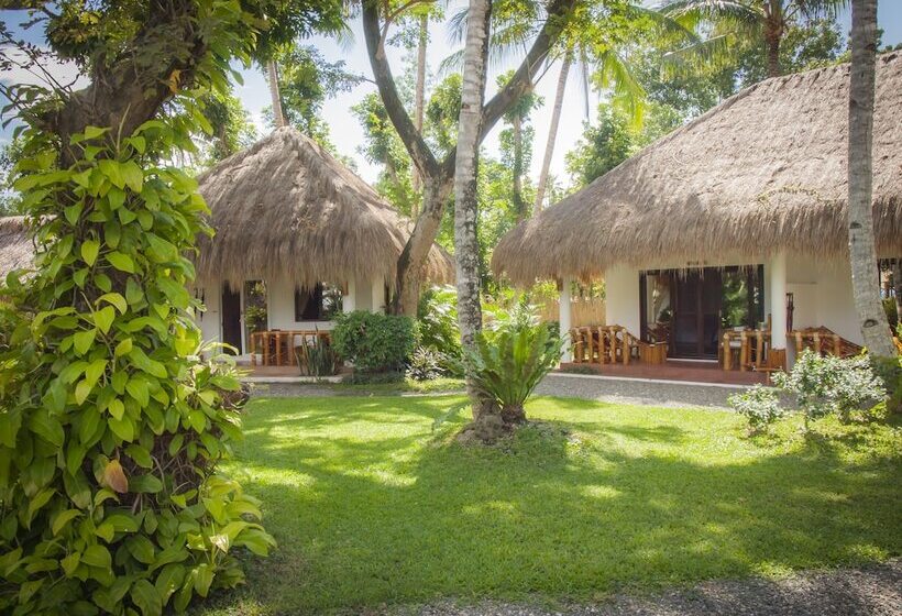 هتل Pura Vida Beach & Dive Resort