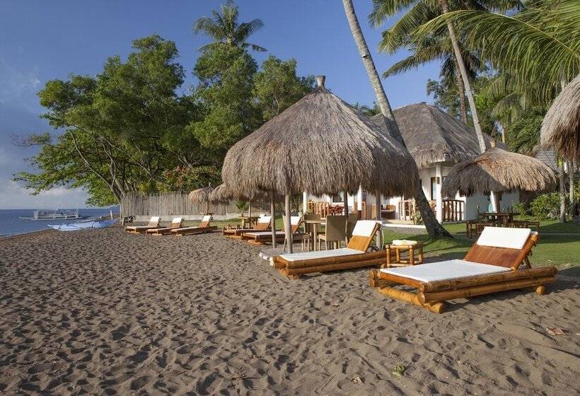 هتل Pura Vida Beach & Dive Resort