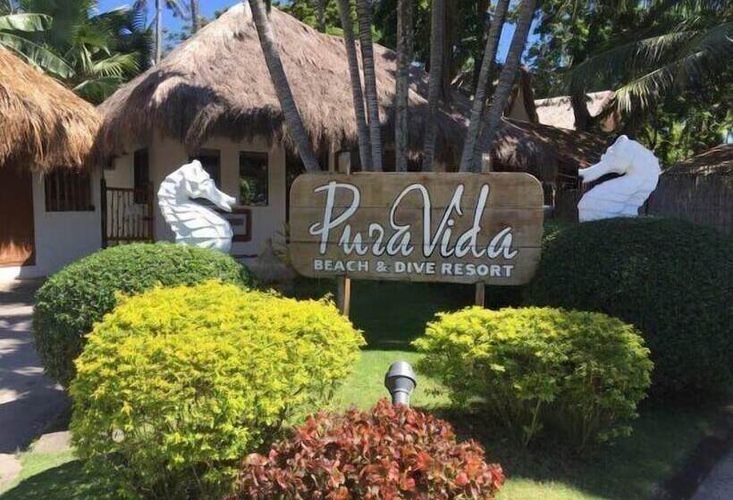 هتل Pura Vida Beach & Dive Resort