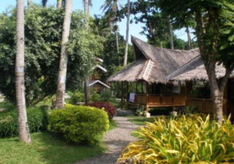 هتل Pura Vida Beach & Dive Resort