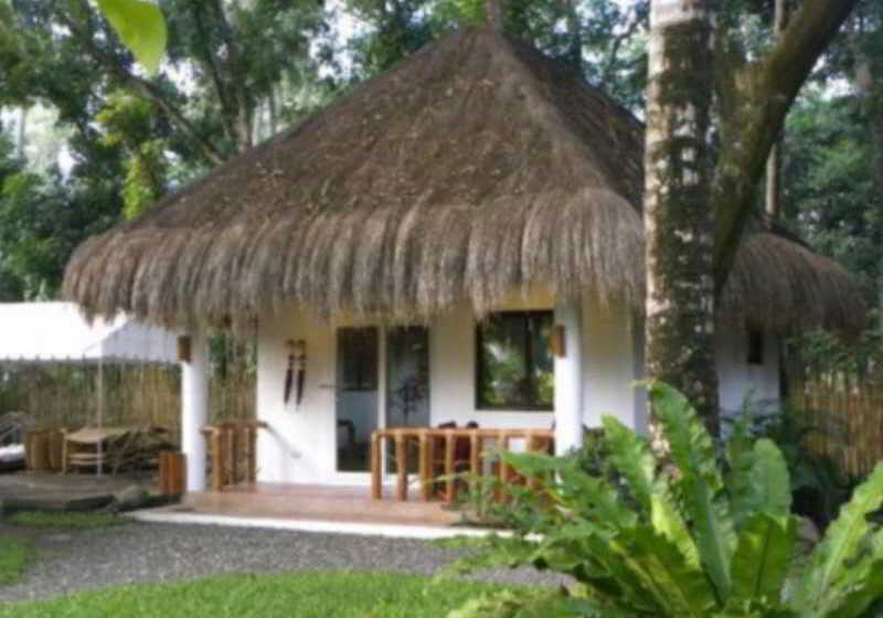 هتل Pura Vida Beach & Dive Resort