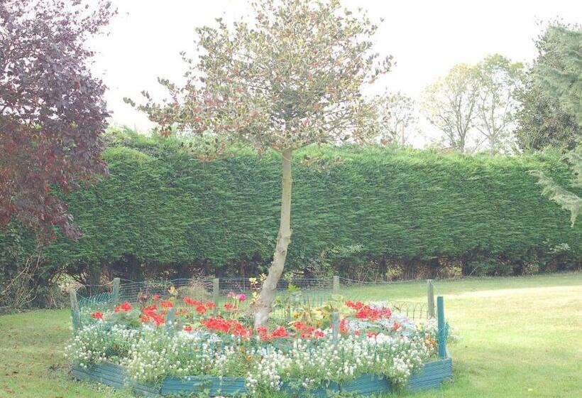 Отель Strenneth