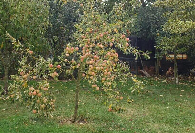 Отель Strenneth