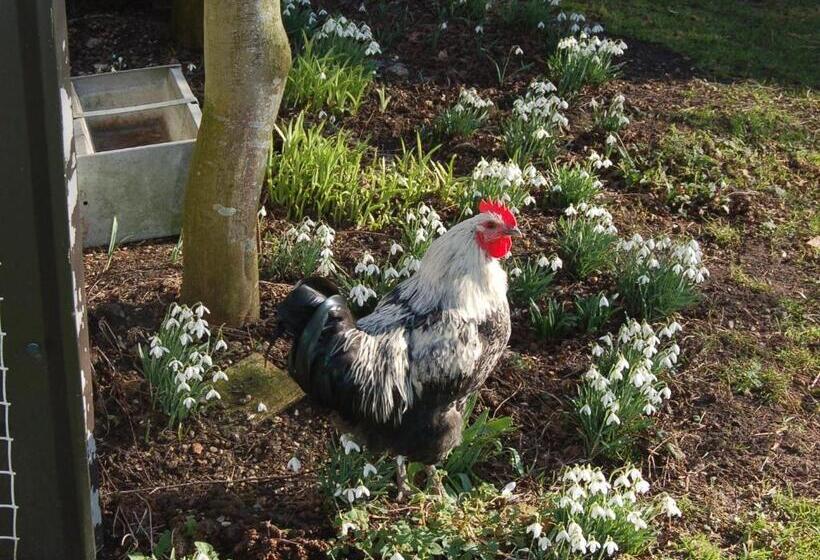 Отель Strenneth