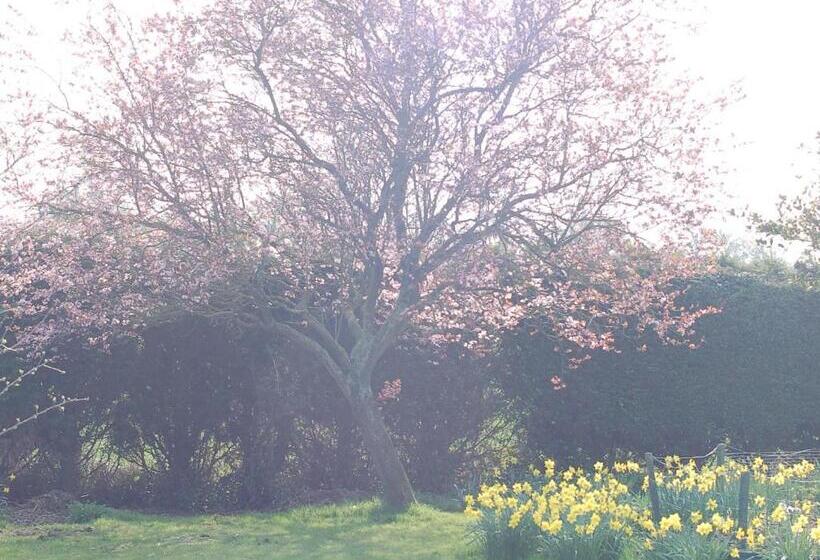 Отель Strenneth