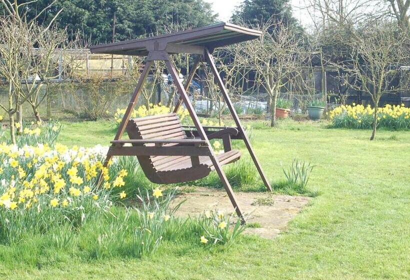 Отель Strenneth