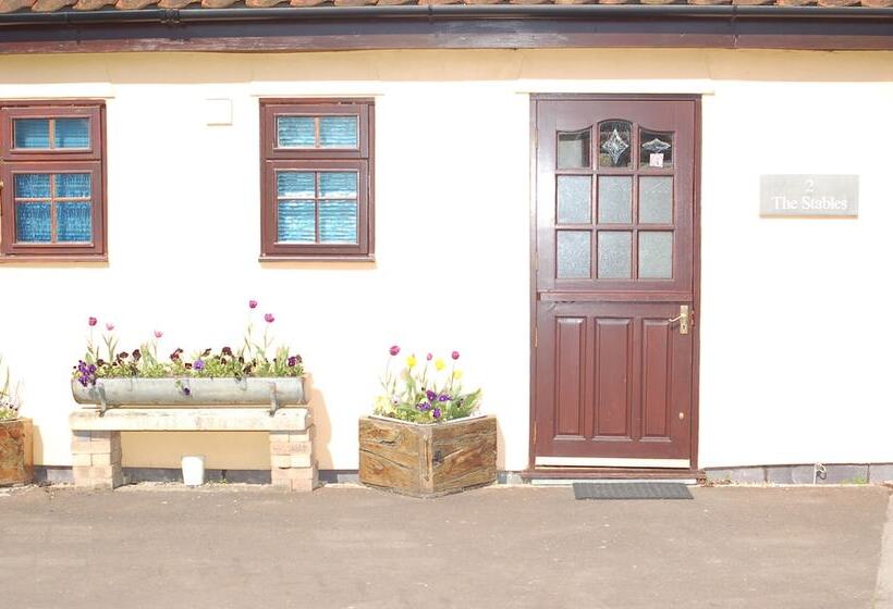 Отель Strenneth