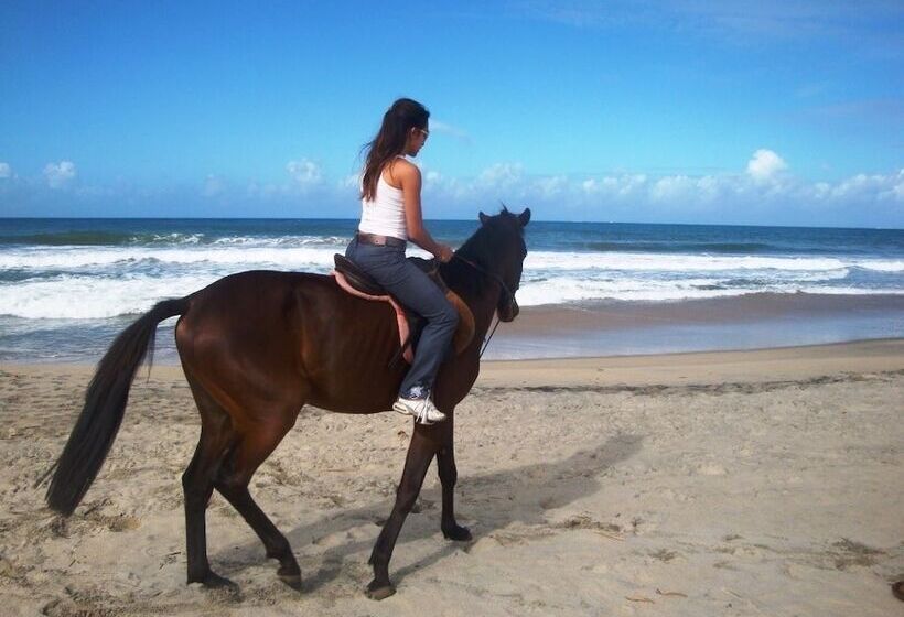 בית מלון כפרי Sunny Golf