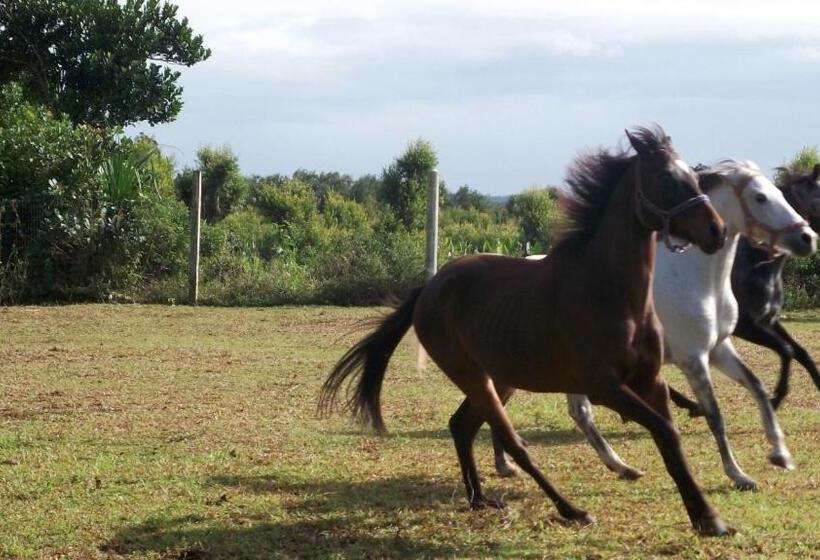 בית מלון כפרי Sunny Golf