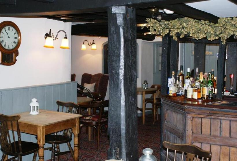 فندق The Old Black Lion