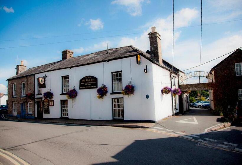 فندق The Old Black Lion