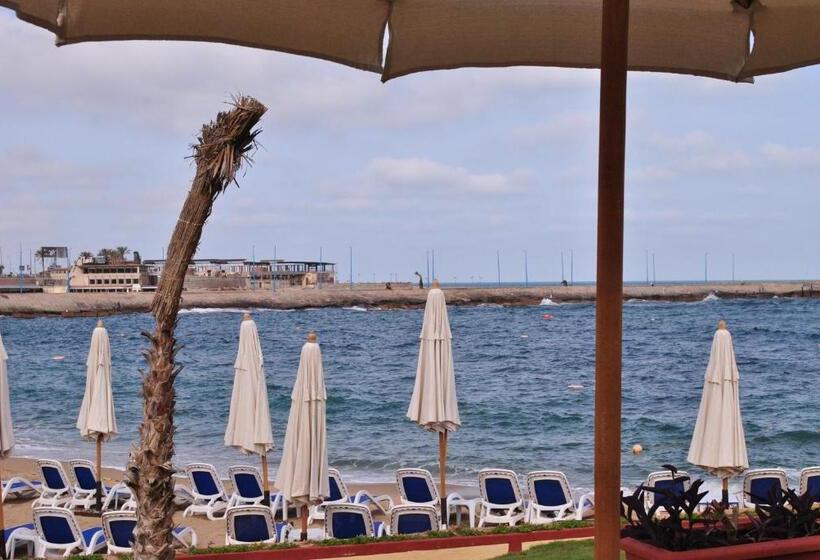 Tolip Hotel Alexandria