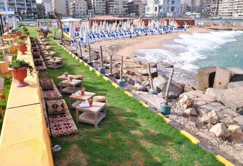 Tolip Hotel Alexandria