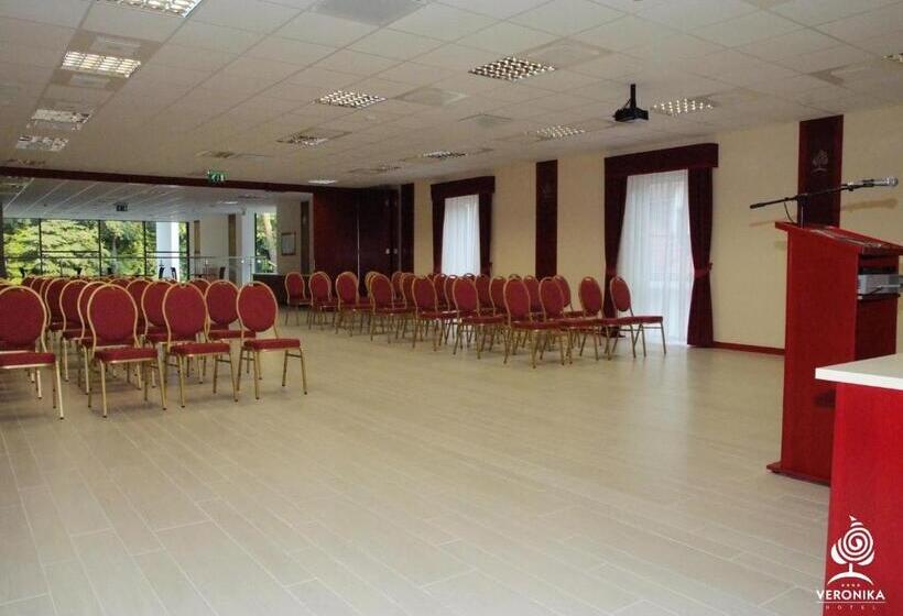 호텔 Veronika