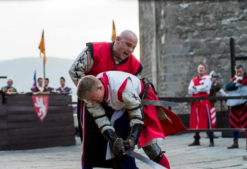 Отель Visegrád