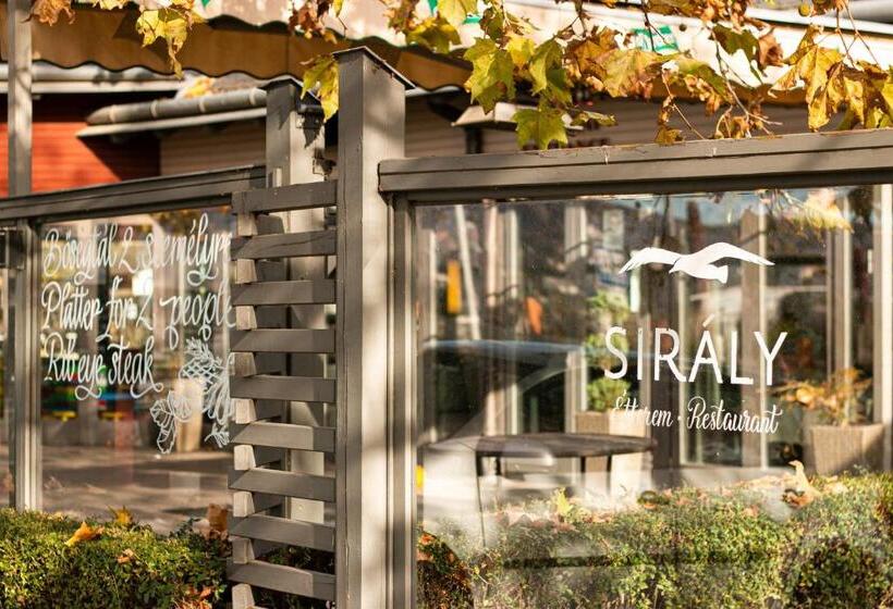 Отель Visegrád