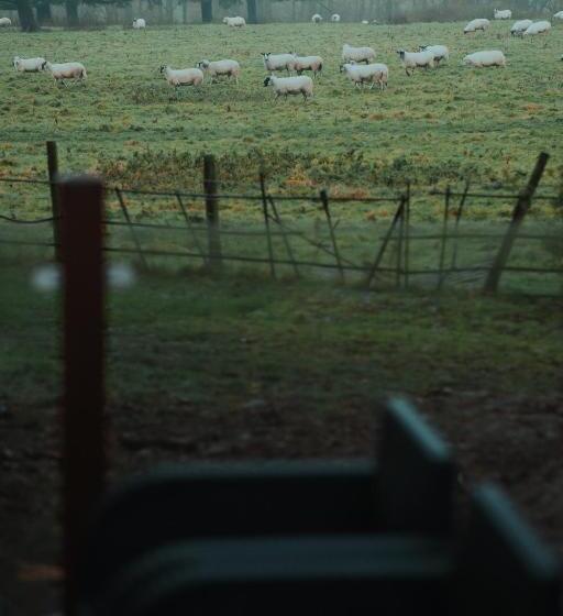 酒店 Wroxall Abbey