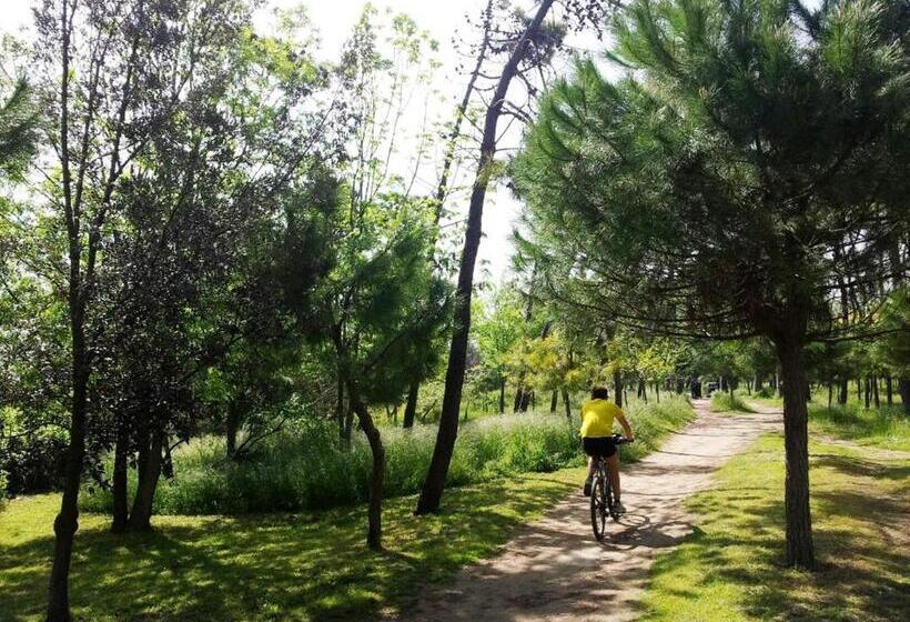 בית מלון כפרי Zani