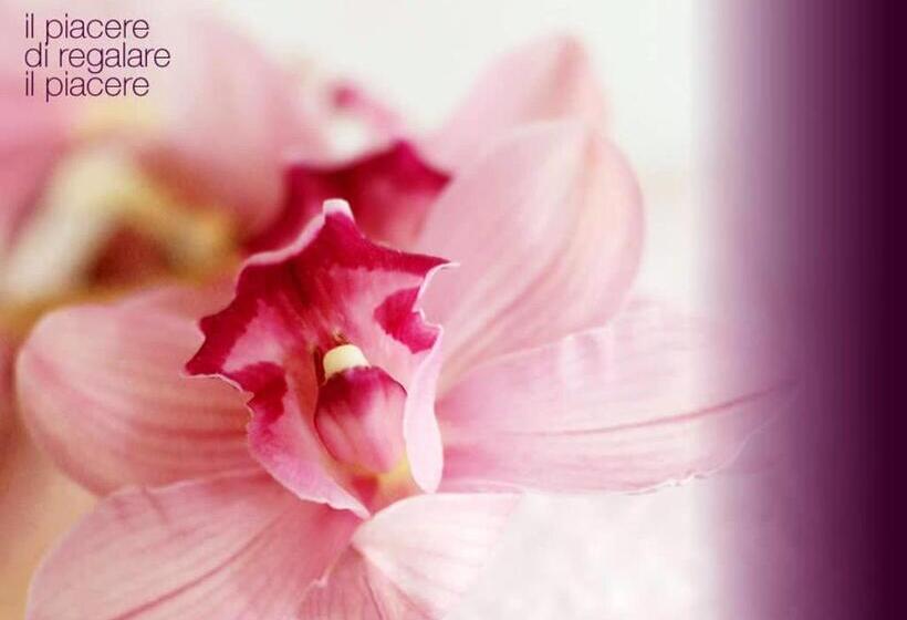 בית מלון כפרי Zani