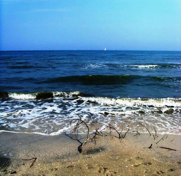 בית מלון כפרי Zani