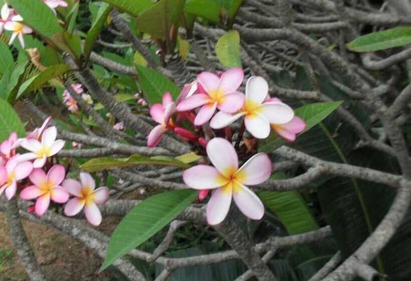 Пансион Zuider Zee Guest House