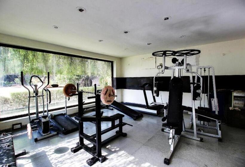 Wood Castle Spa & Resort