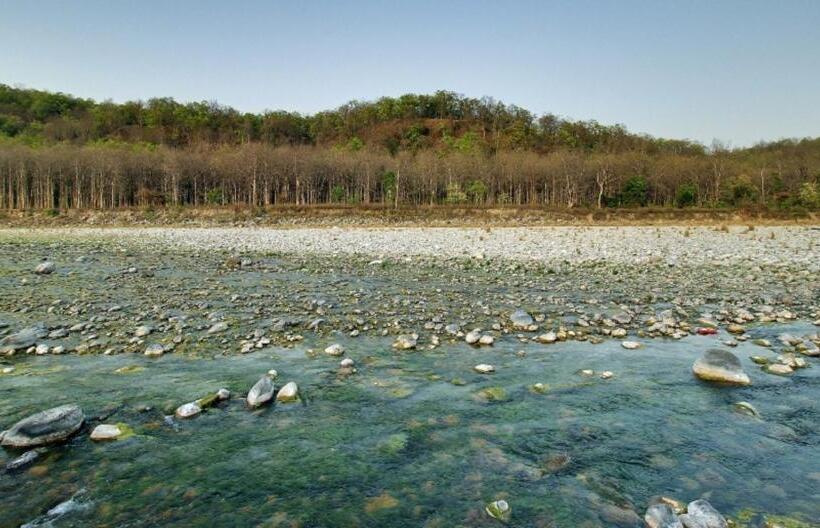 Wood Castle Spa & Resort