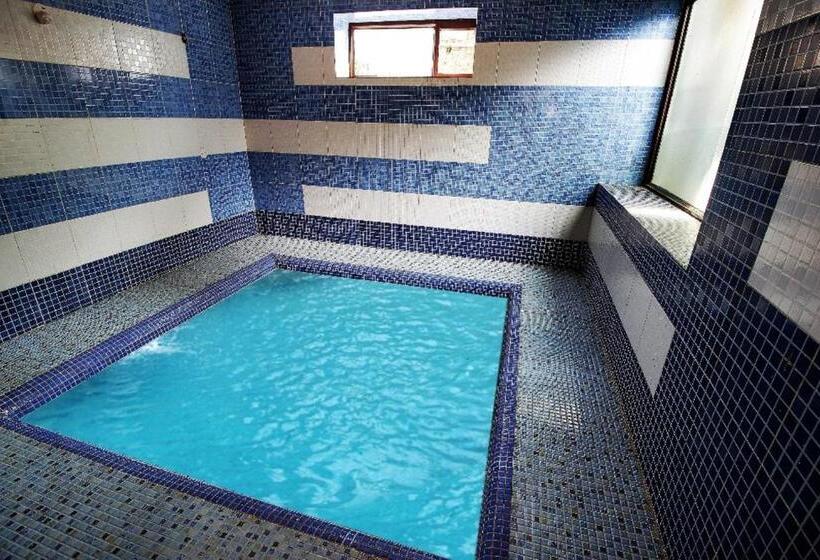 Wood Castle Spa & Resort