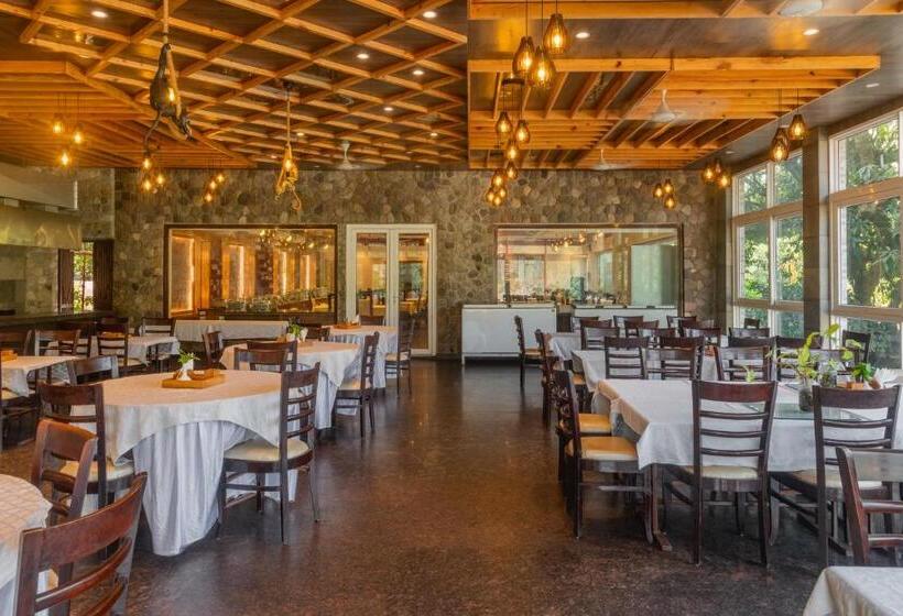 Wood Castle Spa & Resort