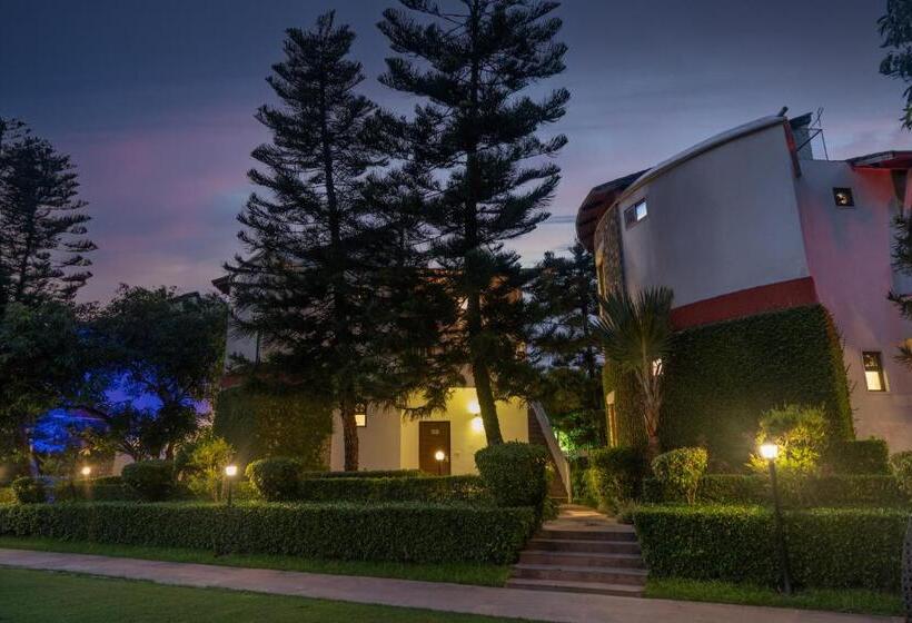 Wood Castle Spa & Resort