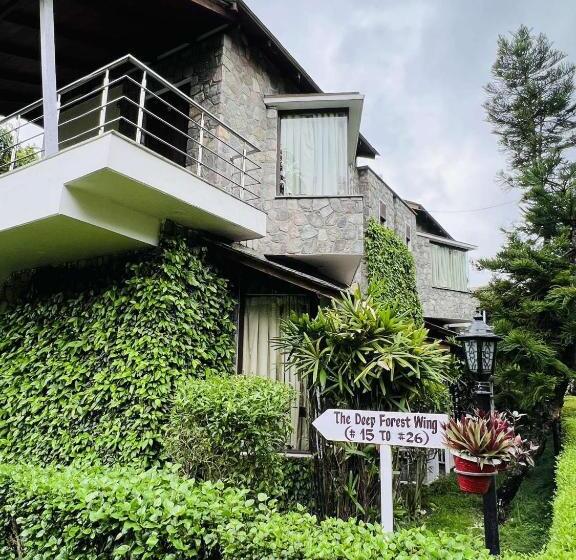 Wood Castle Spa & Resort