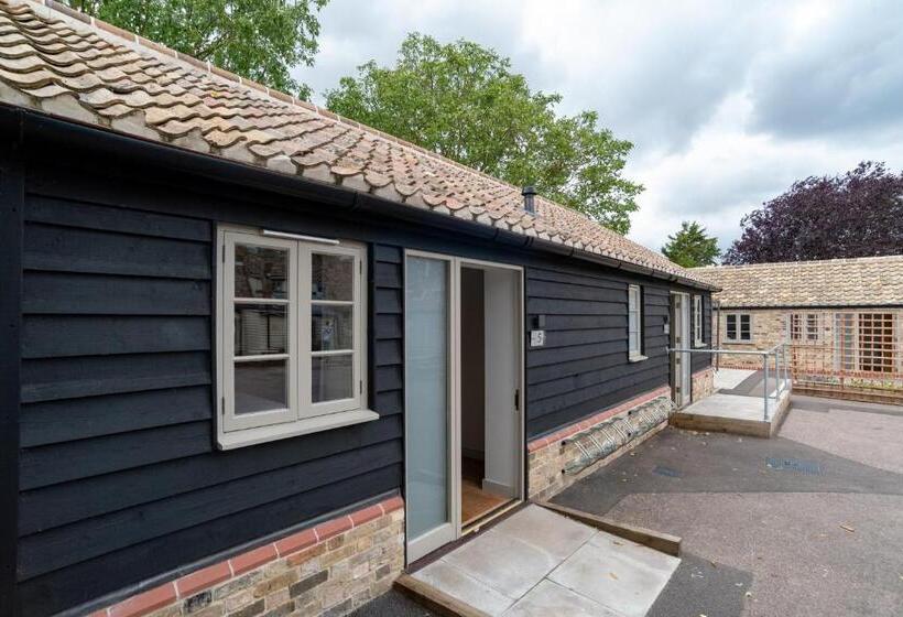 Общежитие Mjpattheshepherds