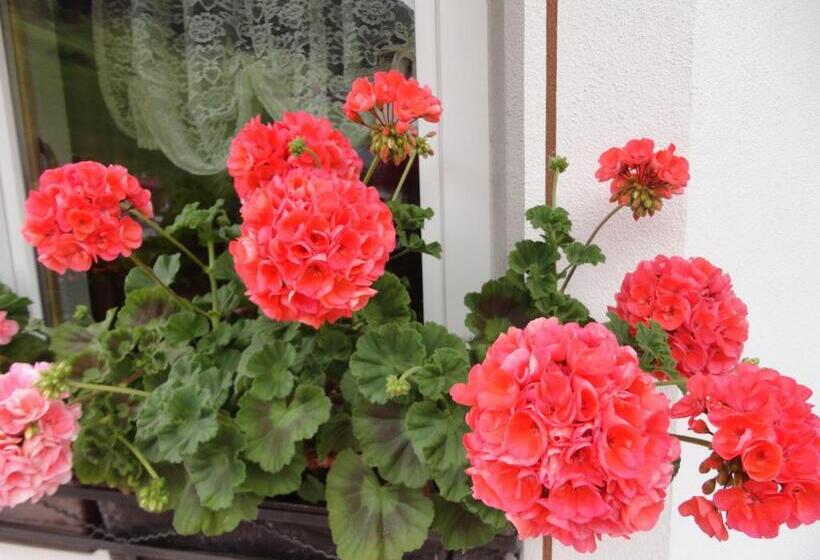 Bed and Breakfast Garni Crepaz