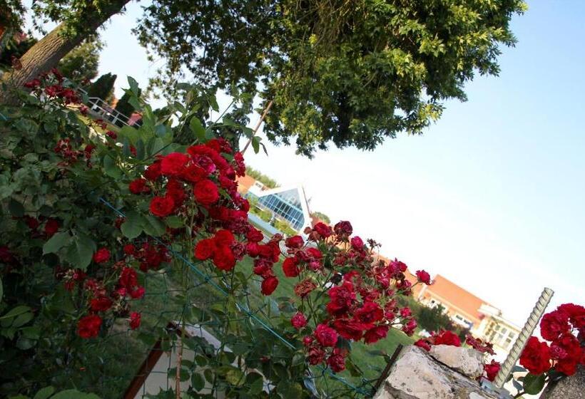 צימר Hévíz Springs Kehidakustány