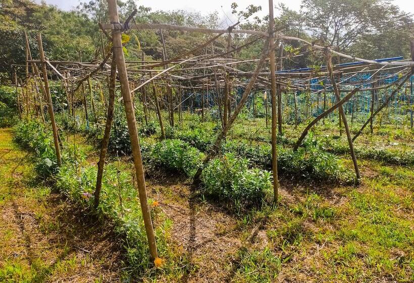 호텔 Caliraya Ecoville Recreation And Farm Resort