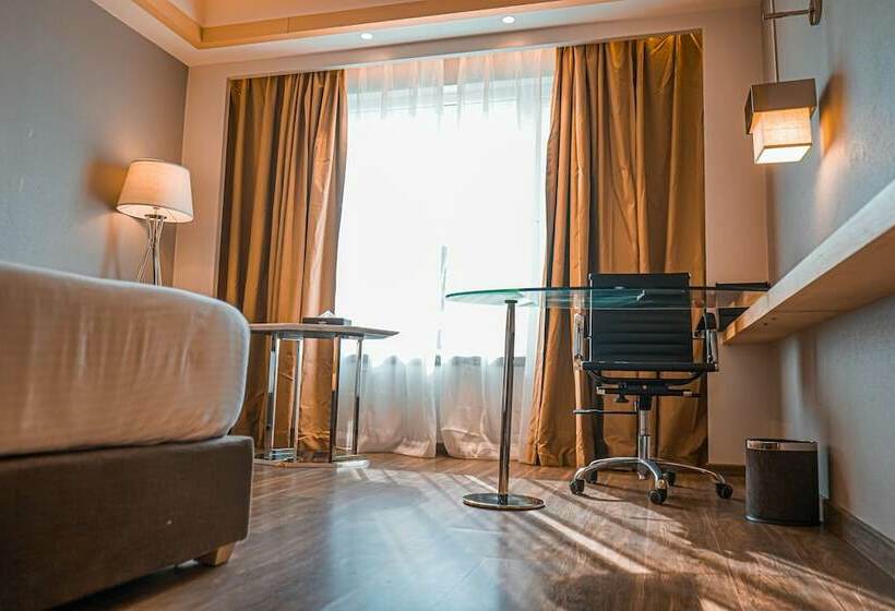 ホテル Avinash International