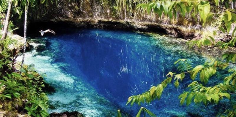 فندق Avisha Suites