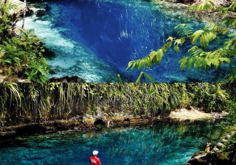 فندق Avisha Suites