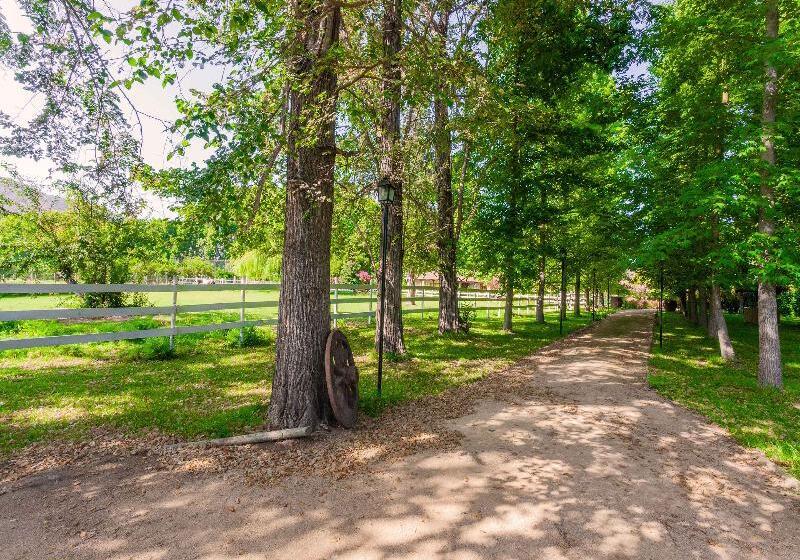 בית מלון כפרי Boutique Almahue