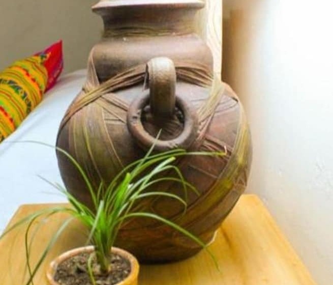 هتل Cannacare By Oyo Rooms